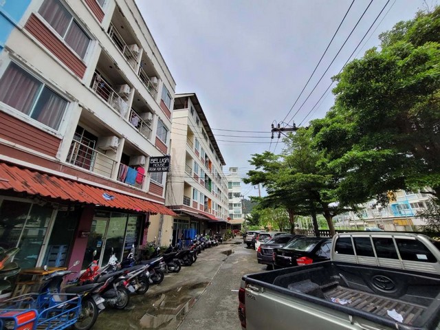 ประกาศฟรี! ซื้อ-ขาย-เช่า คอนโด บ้าน ทาวน์โฮม ที่ดิน และพื้นที่เชิงพาณิชย์ทั่วประเทศไทย ทุกทำเล ทุกงบประมาณ ไม่มีค่าใช้จ่าย ลงง่าย ขายไว เข้าถึงผู้ซื้อโดยตรง 3 258175pic2.jpg