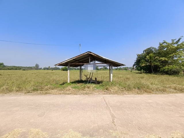 ประกาศฟรี! ซื้อ-ขาย-เช่า คอนโด บ้าน ทาวน์โฮม ที่ดิน และพื้นที่เชิงพาณิชย์ทั่วประเทศไทย ทุกทำเล ทุกงบประมาณ ไม่มีค่าใช้จ่าย ลงง่าย ขายไว เข้าถึงผู้ซื้อโดยตรง 2 258328pic1.jpg