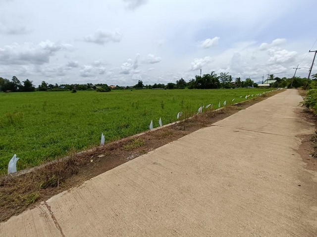 ประกาศฟรี! ซื้อ-ขาย-เช่า คอนโด บ้าน ทาวน์โฮม ที่ดิน และพื้นที่เชิงพาณิชย์ทั่วประเทศไทย ทุกทำเล ทุกงบประมาณ ไม่มีค่าใช้จ่าย ลงง่าย ขายไว เข้าถึงผู้ซื้อโดยตรง 3 258328pic2.jpg