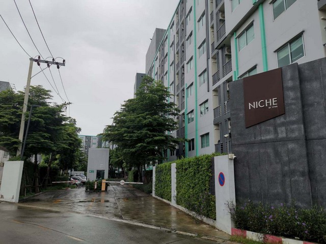 ประกาศฟรี! ซื้อ-ขาย-เช่า คอนโด บ้าน ทาวน์โฮม ที่ดิน และพื้นที่เชิงพาณิชย์ทั่วประเทศไทย ทุกทำเล ทุกงบประมาณ ไม่มีค่าใช้จ่าย ลงง่าย ขายไว เข้าถึงผู้ซื้อโดยตรง 4 259391pic3.jpg