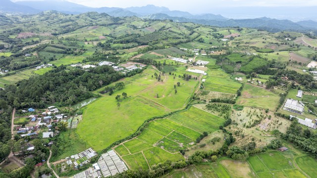 ประกาศฟรี! ซื้อ-ขาย-เช่า คอนโด บ้าน ทาวน์โฮม ที่ดิน และพื้นที่เชิงพาณิชย์ทั่วประเทศไทย ทุกทำเล ทุกงบประมาณ ไม่มีค่าใช้จ่าย ลงง่าย ขายไว เข้าถึงผู้ซื้อโดยตรง 2 259617pic1.jpg