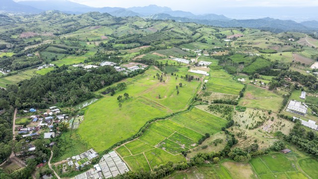 ประกาศฟรี! ซื้อ-ขาย-เช่า คอนโด บ้าน ทาวน์โฮม ที่ดิน และพื้นที่เชิงพาณิชย์ทั่วประเทศไทย ทุกทำเล ทุกงบประมาณ ไม่มีค่าใช้จ่าย ลงง่าย ขายไว เข้าถึงผู้ซื้อโดยตรง 3 259617pic2.jpg