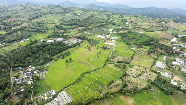 ประกาศฟรี! ซื้อ-ขาย-เช่า คอนโด บ้าน ทาวน์โฮม ที่ดิน และพื้นที่เชิงพาณิชย์ทั่วประเทศไทย ทุกทำเล ทุกงบประมาณ ไม่มีค่าใช้จ่าย ลงง่าย ขายไว เข้าถึงผู้ซื้อโดยตรง 4 259617pic3.jpg