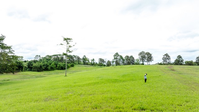 ประกาศฟรี! ซื้อ-ขาย-เช่า คอนโด บ้าน ทาวน์โฮม ที่ดิน และพื้นที่เชิงพาณิชย์ทั่วประเทศไทย ทุกทำเล ทุกงบประมาณ ไม่มีค่าใช้จ่าย ลงง่าย ขายไว เข้าถึงผู้ซื้อโดยตรง 5 259617pic4.jpg