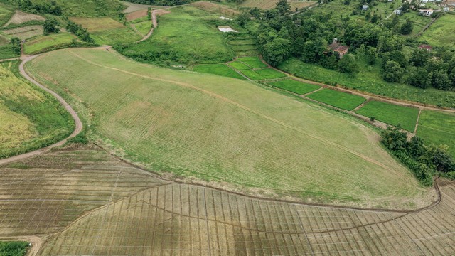 ประกาศฟรี! ซื้อ-ขาย-เช่า คอนโด บ้าน ทาวน์โฮม ที่ดิน และพื้นที่เชิงพาณิชย์ทั่วประเทศไทย ทุกทำเล ทุกงบประมาณ ไม่มีค่าใช้จ่าย ลงง่าย ขายไว เข้าถึงผู้ซื้อโดยตรง 2 259616pic1.jpg