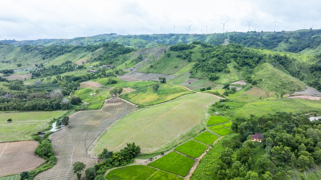 ประกาศฟรี! ซื้อ-ขาย-เช่า คอนโด บ้าน ทาวน์โฮม ที่ดิน และพื้นที่เชิงพาณิชย์ทั่วประเทศไทย ทุกทำเล ทุกงบประมาณ ไม่มีค่าใช้จ่าย ลงง่าย ขายไว เข้าถึงผู้ซื้อโดยตรง 4 259616pic3.jpg