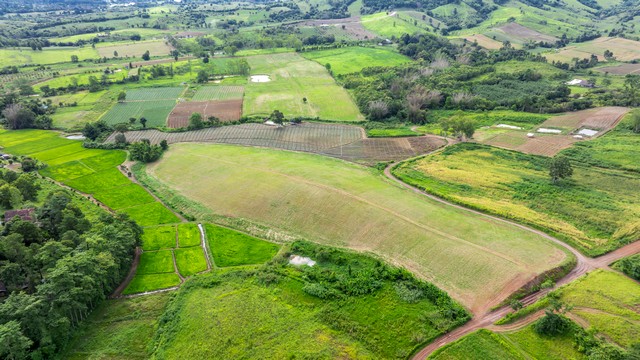 ประกาศฟรี! ซื้อ-ขาย-เช่า คอนโด บ้าน ทาวน์โฮม ที่ดิน และพื้นที่เชิงพาณิชย์ทั่วประเทศไทย ทุกทำเล ทุกงบประมาณ ไม่มีค่าใช้จ่าย ลงง่าย ขายไว เข้าถึงผู้ซื้อโดยตรง 5 259616pic4.jpg