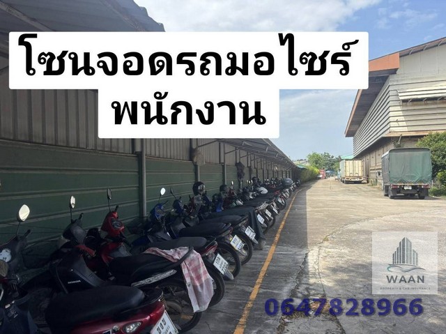 ประกาศฟรี! ซื้อ-ขาย-เช่า คอนโด บ้าน ทาวน์โฮม ที่ดิน และพื้นที่เชิงพาณิชย์ทั่วประเทศไทย ทุกทำเล ทุกงบประมาณ ไม่มีค่าใช้จ่าย ลงง่าย ขายไว เข้าถึงผู้ซื้อโดยตรง 5 519490pic4.jpg