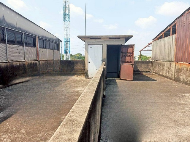 ประกาศฟรี! ซื้อ-ขาย-เช่า คอนโด บ้าน ทาวน์โฮม ที่ดิน และพื้นที่เชิงพาณิชย์ทั่วประเทศไทย ทุกทำเล ทุกงบประมาณ ไม่มีค่าใช้จ่าย ลงง่าย ขายไว เข้าถึงผู้ซื้อโดยตรง 5 317785pic4.jpg