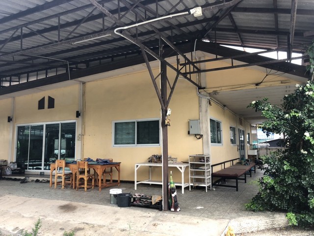 ประกาศฟรี! ซื้อ-ขาย-เช่า คอนโด บ้าน ทาวน์โฮม ที่ดิน และพื้นที่เชิงพาณิชย์ทั่วประเทศไทย ทุกทำเล ทุกงบประมาณ ไม่มีค่าใช้จ่าย ลงง่าย ขายไว เข้าถึงผู้ซื้อโดยตรง 3 317781pic2.jpg