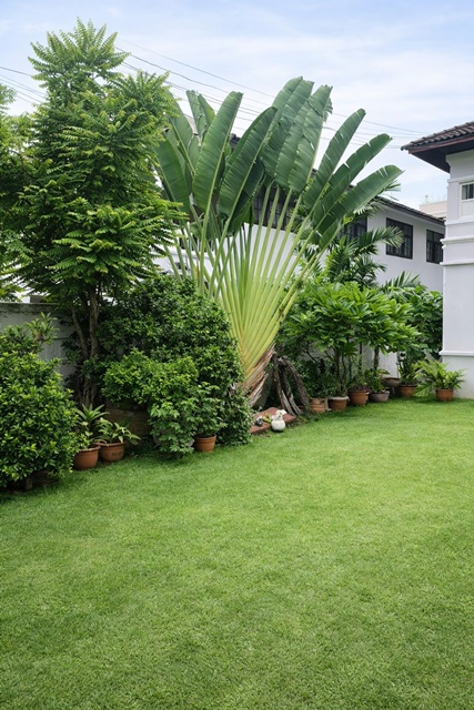 ประกาศฟรี! ซื้อ-ขาย-เช่า คอนโด บ้าน ทาวน์โฮม ที่ดิน และพื้นที่เชิงพาณิชย์ทั่วประเทศไทย ทุกทำเล ทุกงบประมาณ ไม่มีค่าใช้จ่าย ลงง่าย ขายไว เข้าถึงผู้ซื้อโดยตรง 4 259557pic3.jpg