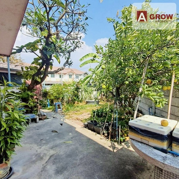 ประกาศฟรี! ซื้อ-ขาย-เช่า คอนโด บ้าน ทาวน์โฮม ที่ดิน และพื้นที่เชิงพาณิชย์ทั่วประเทศไทย ทุกทำเล ทุกงบประมาณ ไม่มีค่าใช้จ่าย ลงง่าย ขายไว เข้าถึงผู้ซื้อโดยตรง 5 317812pic4.jpg