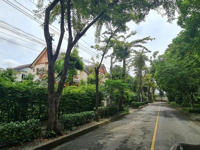 ประกาศฟรี! ซื้อ-ขาย-เช่า คอนโด บ้าน ทาวน์โฮม ที่ดิน และพื้นที่เชิงพาณิชย์ทั่วประเทศไทย ทุกทำเล ทุกงบประมาณ ไม่มีค่าใช้จ่าย ลงง่าย ขายไว เข้าถึงผู้ซื้อโดยตรง 3 258287pic2.jpg