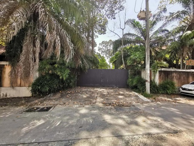 ประกาศฟรี! ซื้อ-ขาย-เช่า คอนโด บ้าน ทาวน์โฮม ที่ดิน และพื้นที่เชิงพาณิชย์ทั่วประเทศไทย ทุกทำเล ทุกงบประมาณ ไม่มีค่าใช้จ่าย ลงง่าย ขายไว เข้าถึงผู้ซื้อโดยตรง 2 258282pic1.jpg