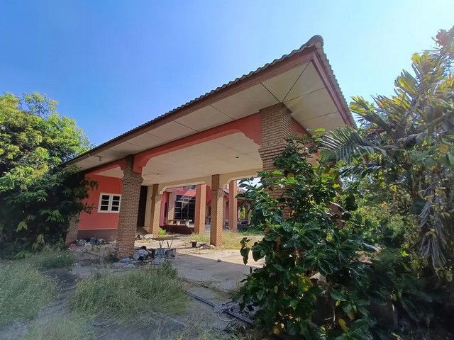 ประกาศฟรี! ซื้อ-ขาย-เช่า คอนโด บ้าน ทาวน์โฮม ที่ดิน และพื้นที่เชิงพาณิชย์ทั่วประเทศไทย ทุกทำเล ทุกงบประมาณ ไม่มีค่าใช้จ่าย ลงง่าย ขายไว เข้าถึงผู้ซื้อโดยตรง 3 258264pic2.jpg