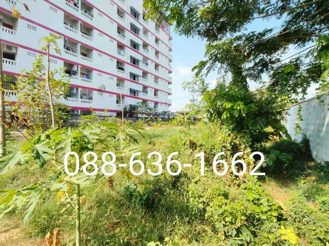 ประกาศฟรี! ซื้อ-ขาย-เช่า คอนโด บ้าน ทาวน์โฮม ที่ดิน และพื้นที่เชิงพาณิชย์ทั่วประเทศไทย ทุกทำเล ทุกงบประมาณ ไม่มีค่าใช้จ่าย ลงง่าย ขายไว เข้าถึงผู้ซื้อโดยตรง 5 294438pic4.jpg