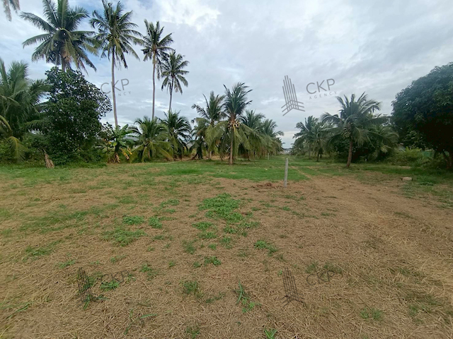 ประกาศฟรี! ซื้อ-ขาย-เช่า คอนโด บ้าน ทาวน์โฮม ที่ดิน และพื้นที่เชิงพาณิชย์ทั่วประเทศไทย ทุกทำเล ทุกงบประมาณ ไม่มีค่าใช้จ่าย ลงง่าย ขายไว เข้าถึงผู้ซื้อโดยตรง 4 293173pic3.jpg