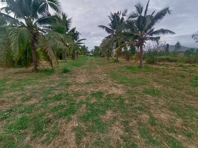 ประกาศฟรี! ซื้อ-ขาย-เช่า คอนโด บ้าน ทาวน์โฮม ที่ดิน และพื้นที่เชิงพาณิชย์ทั่วประเทศไทย ทุกทำเล ทุกงบประมาณ ไม่มีค่าใช้จ่าย ลงง่าย ขายไว เข้าถึงผู้ซื้อโดยตรง 5 293173pic4.jpg