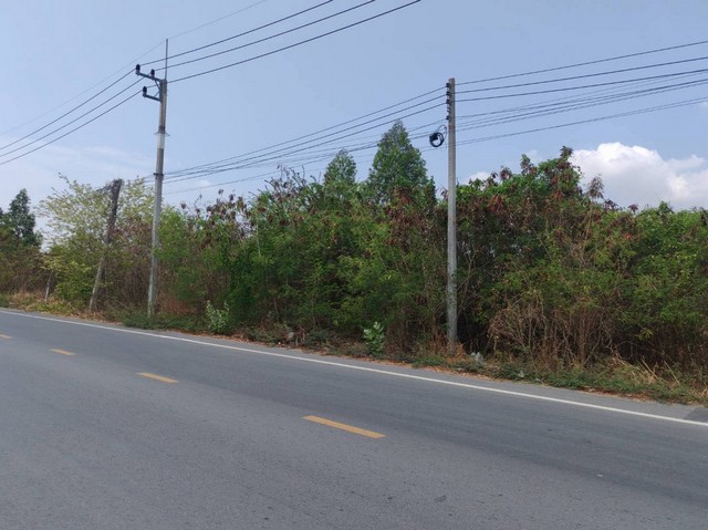 ประกาศฟรี! ซื้อ-ขาย-เช่า คอนโด บ้าน ทาวน์โฮม ที่ดิน และพื้นที่เชิงพาณิชย์ทั่วประเทศไทย ทุกทำเล ทุกงบประมาณ ไม่มีค่าใช้จ่าย ลงง่าย ขายไว เข้าถึงผู้ซื้อโดยตรง 3 317834pic2.jpg