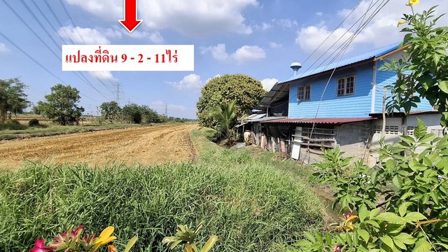 ประกาศฟรี! ซื้อ-ขาย-เช่า คอนโด บ้าน ทาวน์โฮม ที่ดิน และพื้นที่เชิงพาณิชย์ทั่วประเทศไทย ทุกทำเล ทุกงบประมาณ ไม่มีค่าใช้จ่าย ลงง่าย ขายไว เข้าถึงผู้ซื้อโดยตรง 3 508542pic2.jpg