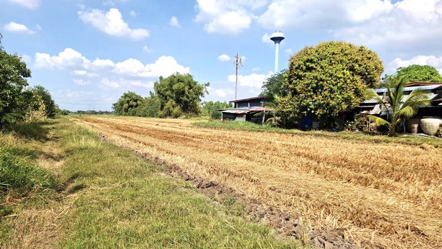 ประกาศฟรี! ซื้อ-ขาย-เช่า คอนโด บ้าน ทาวน์โฮม ที่ดิน และพื้นที่เชิงพาณิชย์ทั่วประเทศไทย ทุกทำเล ทุกงบประมาณ ไม่มีค่าใช้จ่าย ลงง่าย ขายไว เข้าถึงผู้ซื้อโดยตรง 5 508542pic4.jpg