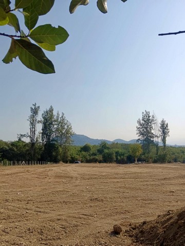 ประกาศฟรี! ซื้อ-ขาย-เช่า คอนโด บ้าน ทาวน์โฮม ที่ดิน และพื้นที่เชิงพาณิชย์ทั่วประเทศไทย ทุกทำเล ทุกงบประมาณ ไม่มีค่าใช้จ่าย ลงง่าย ขายไว เข้าถึงผู้ซื้อโดยตรง 3 511007pic2.jpg