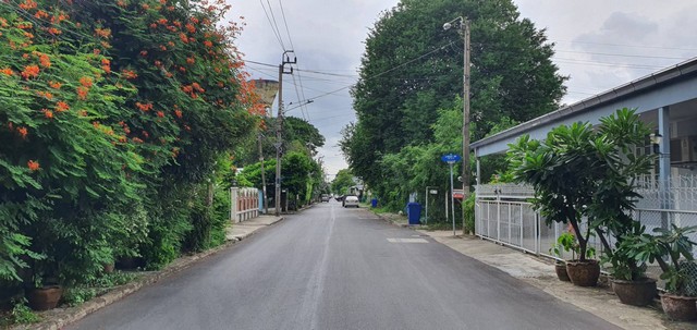 ประกาศฟรี! ซื้อ-ขาย-เช่า คอนโด บ้าน ทาวน์โฮม ที่ดิน และพื้นที่เชิงพาณิชย์ทั่วประเทศไทย ทุกทำเล ทุกงบประมาณ ไม่มีค่าใช้จ่าย ลงง่าย ขายไว เข้าถึงผู้ซื้อโดยตรง 3 273997pic2.jpg