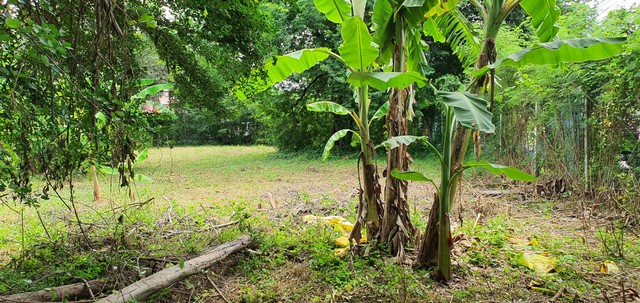 ประกาศฟรี! ซื้อ-ขาย-เช่า คอนโด บ้าน ทาวน์โฮม ที่ดิน และพื้นที่เชิงพาณิชย์ทั่วประเทศไทย ทุกทำเล ทุกงบประมาณ ไม่มีค่าใช้จ่าย ลงง่าย ขายไว เข้าถึงผู้ซื้อโดยตรง 4 273997pic3.jpg