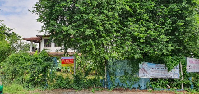 ประกาศฟรี! ซื้อ-ขาย-เช่า คอนโด บ้าน ทาวน์โฮม ที่ดิน และพื้นที่เชิงพาณิชย์ทั่วประเทศไทย ทุกทำเล ทุกงบประมาณ ไม่มีค่าใช้จ่าย ลงง่าย ขายไว เข้าถึงผู้ซื้อโดยตรง 5 273997pic4.jpg