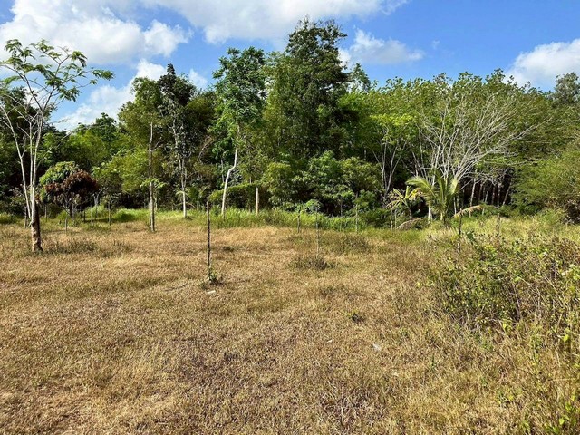 ประกาศฟรี! ซื้อ-ขาย-เช่า คอนโด บ้าน ทาวน์โฮม ที่ดิน และพื้นที่เชิงพาณิชย์ทั่วประเทศไทย ทุกทำเล ทุกงบประมาณ ไม่มีค่าใช้จ่าย ลงง่าย ขายไว เข้าถึงผู้ซื้อโดยตรง 4 259741pic3.jpg