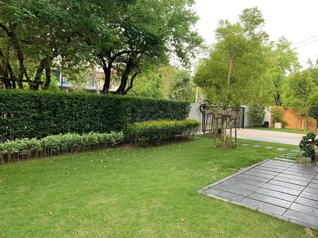 ประกาศฟรี! ซื้อ-ขาย-เช่า คอนโด บ้าน ทาวน์โฮม ที่ดิน และพื้นที่เชิงพาณิชย์ทั่วประเทศไทย ทุกทำเล ทุกงบประมาณ ไม่มีค่าใช้จ่าย ลงง่าย ขายไว เข้าถึงผู้ซื้อโดยตรง 4 519556pic3.jpg