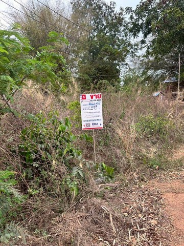 ประกาศฟรี! ซื้อ-ขาย-เช่า คอนโด บ้าน ทาวน์โฮม ที่ดิน และพื้นที่เชิงพาณิชย์ทั่วประเทศไทย ทุกทำเล ทุกงบประมาณ ไม่มีค่าใช้จ่าย ลงง่าย ขายไว เข้าถึงผู้ซื้อโดยตรง 5 317879pic4.jpg