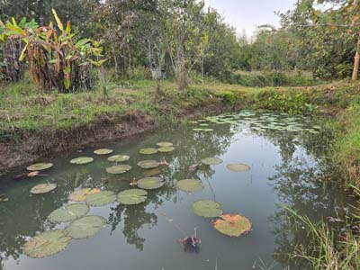 ประกาศฟรี! ซื้อ-ขาย-เช่า คอนโด บ้าน ทาวน์โฮม ที่ดิน และพื้นที่เชิงพาณิชย์ทั่วประเทศไทย ทุกทำเล ทุกงบประมาณ ไม่มีค่าใช้จ่าย ลงง่าย ขายไว เข้าถึงผู้ซื้อโดยตรง 3 317574pic2.jpg