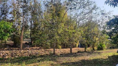 ประกาศฟรี! ซื้อ-ขาย-เช่า คอนโด บ้าน ทาวน์โฮม ที่ดิน และพื้นที่เชิงพาณิชย์ทั่วประเทศไทย ทุกทำเล ทุกงบประมาณ ไม่มีค่าใช้จ่าย ลงง่าย ขายไว เข้าถึงผู้ซื้อโดยตรง 4 317574pic3.jpg