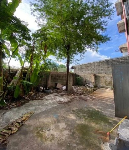 ประกาศฟรี! ซื้อ-ขาย-เช่า คอนโด บ้าน ทาวน์โฮม ที่ดิน และพื้นที่เชิงพาณิชย์ทั่วประเทศไทย ทุกทำเล ทุกงบประมาณ ไม่มีค่าใช้จ่าย ลงง่าย ขายไว เข้าถึงผู้ซื้อโดยตรง 5 519711pic4.jpg