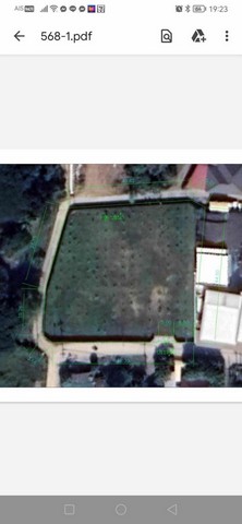 ประกาศฟรี! ซื้อ-ขาย-เช่า คอนโด บ้าน ทาวน์โฮม ที่ดิน และพื้นที่เชิงพาณิชย์ทั่วประเทศไทย ทุกทำเล ทุกงบประมาณ ไม่มีค่าใช้จ่าย ลงง่าย ขายไว เข้าถึงผู้ซื้อโดยตรง 3 259789pic2.jpg