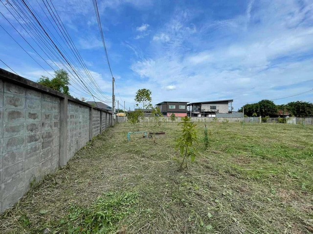 ประกาศฟรี! ซื้อ-ขาย-เช่า คอนโด บ้าน ทาวน์โฮม ที่ดิน และพื้นที่เชิงพาณิชย์ทั่วประเทศไทย ทุกทำเล ทุกงบประมาณ ไม่มีค่าใช้จ่าย ลงง่าย ขายไว เข้าถึงผู้ซื้อโดยตรง 4 259789pic3.jpg