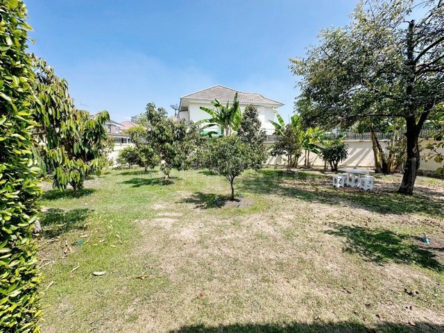 ประกาศฟรี! ซื้อ-ขาย-เช่า คอนโด บ้าน ทาวน์โฮม ที่ดิน และพื้นที่เชิงพาณิชย์ทั่วประเทศไทย ทุกทำเล ทุกงบประมาณ ไม่มีค่าใช้จ่าย ลงง่าย ขายไว เข้าถึงผู้ซื้อโดยตรง 4 259759pic3.jpg