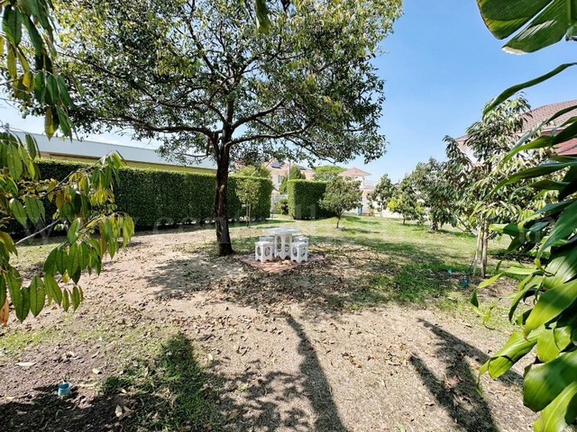 ประกาศฟรี! ซื้อ-ขาย-เช่า คอนโด บ้าน ทาวน์โฮม ที่ดิน และพื้นที่เชิงพาณิชย์ทั่วประเทศไทย ทุกทำเล ทุกงบประมาณ ไม่มีค่าใช้จ่าย ลงง่าย ขายไว เข้าถึงผู้ซื้อโดยตรง 5 259759pic4.jpg