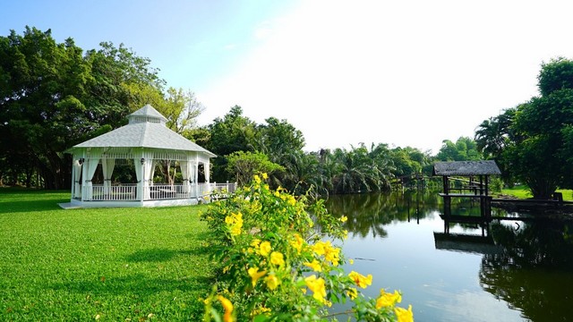 ประกาศฟรี! ซื้อ-ขาย-เช่า คอนโด บ้าน ทาวน์โฮม ที่ดิน และพื้นที่เชิงพาณิชย์ทั่วประเทศไทย ทุกทำเล ทุกงบประมาณ ไม่มีค่าใช้จ่าย ลงง่าย ขายไว เข้าถึงผู้ซื้อโดยตรง 4 317730pic3.jpg