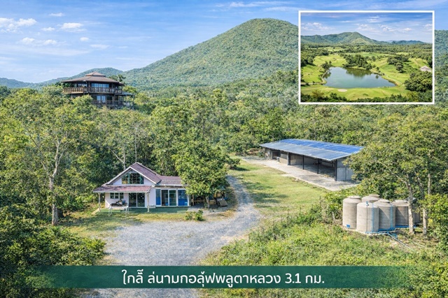 ประกาศฟรี! ซื้อ-ขาย-เช่า คอนโด บ้าน ทาวน์โฮม ที่ดิน และพื้นที่เชิงพาณิชย์ทั่วประเทศไทย ทุกทำเล ทุกงบประมาณ ไม่มีค่าใช้จ่าย ลงง่าย ขายไว เข้าถึงผู้ซื้อโดยตรง 2 317752pic1.jpg