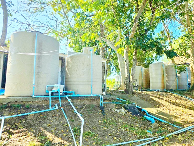 ประกาศฟรี! ซื้อ-ขาย-เช่า คอนโด บ้าน ทาวน์โฮม ที่ดิน และพื้นที่เชิงพาณิชย์ทั่วประเทศไทย ทุกทำเล ทุกงบประมาณ ไม่มีค่าใช้จ่าย ลงง่าย ขายไว เข้าถึงผู้ซื้อโดยตรง 5 317752pic4.jpg