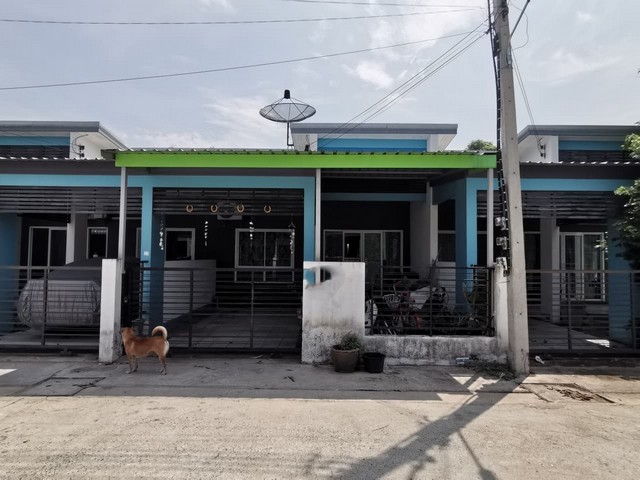 ประกาศฟรี! ซื้อ-ขาย-เช่า คอนโด บ้าน ทาวน์โฮม ที่ดิน และพื้นที่เชิงพาณิชย์ทั่วประเทศไทย ทุกทำเล ทุกงบประมาณ ไม่มีค่าใช้จ่าย ลงง่าย ขายไว เข้าถึงผู้ซื้อโดยตรง 2 259515pic1.jpg