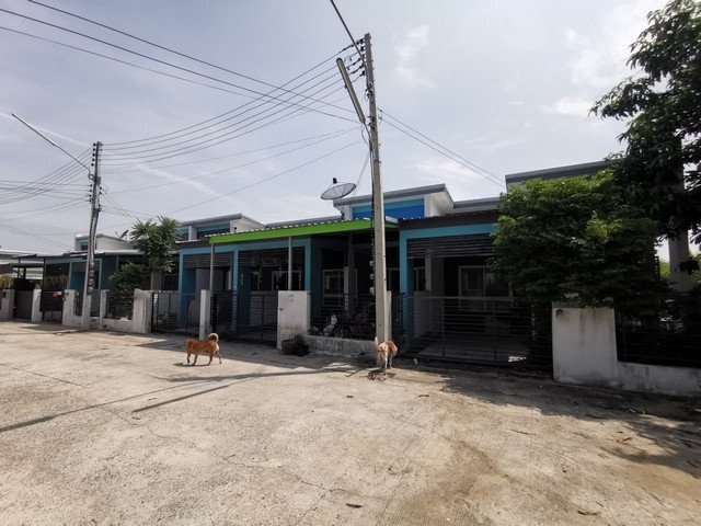 ประกาศฟรี! ซื้อ-ขาย-เช่า คอนโด บ้าน ทาวน์โฮม ที่ดิน และพื้นที่เชิงพาณิชย์ทั่วประเทศไทย ทุกทำเล ทุกงบประมาณ ไม่มีค่าใช้จ่าย ลงง่าย ขายไว เข้าถึงผู้ซื้อโดยตรง 3 259515pic2.jpg