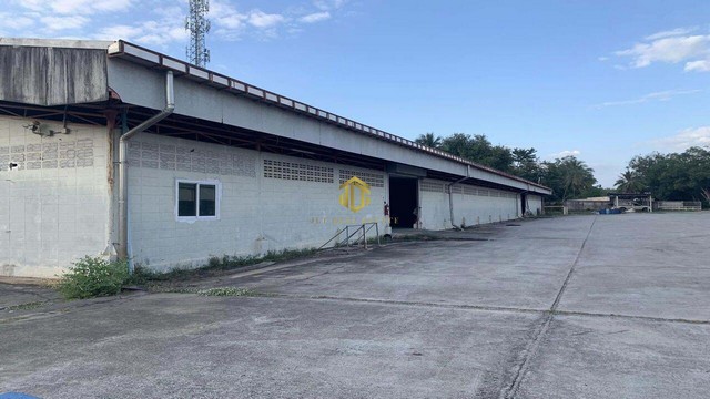 ประกาศฟรี! ซื้อ-ขาย-เช่า คอนโด บ้าน ทาวน์โฮม ที่ดิน และพื้นที่เชิงพาณิชย์ทั่วประเทศไทย ทุกทำเล ทุกงบประมาณ ไม่มีค่าใช้จ่าย ลงง่าย ขายไว เข้าถึงผู้ซื้อโดยตรง 4 317926pic3.jpg