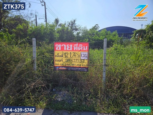 ประกาศฟรี! ซื้อ-ขาย-เช่า คอนโด บ้าน ทาวน์โฮม ที่ดิน และพื้นที่เชิงพาณิชย์ทั่วประเทศไทย ทุกทำเล ทุกงบประมาณ ไม่มีค่าใช้จ่าย ลงง่าย ขายไว เข้าถึงผู้ซื้อโดยตรง 2 519801pic1.jpg