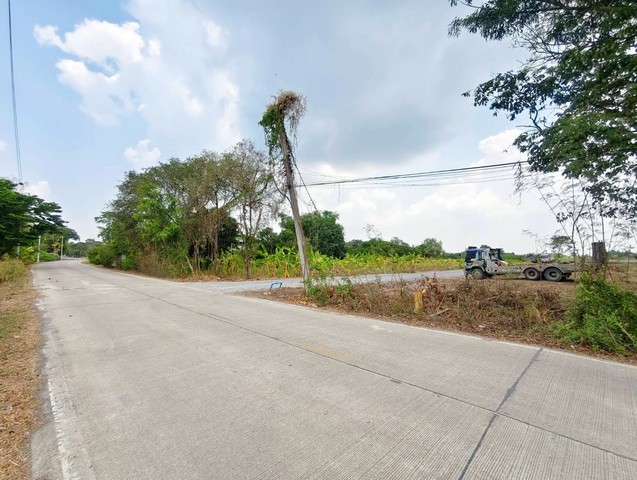 ประกาศฟรี! ซื้อ-ขาย-เช่า คอนโด บ้าน ทาวน์โฮม ที่ดิน และพื้นที่เชิงพาณิชย์ทั่วประเทศไทย ทุกทำเล ทุกงบประมาณ ไม่มีค่าใช้จ่าย ลงง่าย ขายไว เข้าถึงผู้ซื้อโดยตรง 5 294395pic4.jpg