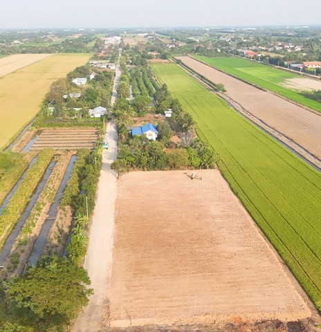 ประกาศฟรี! ซื้อ-ขาย-เช่า คอนโด บ้าน ทาวน์โฮม ที่ดิน และพื้นที่เชิงพาณิชย์ทั่วประเทศไทย ทุกทำเล ทุกงบประมาณ ไม่มีค่าใช้จ่าย ลงง่าย ขายไว เข้าถึงผู้ซื้อโดยตรง 5 294066pic4.jpg