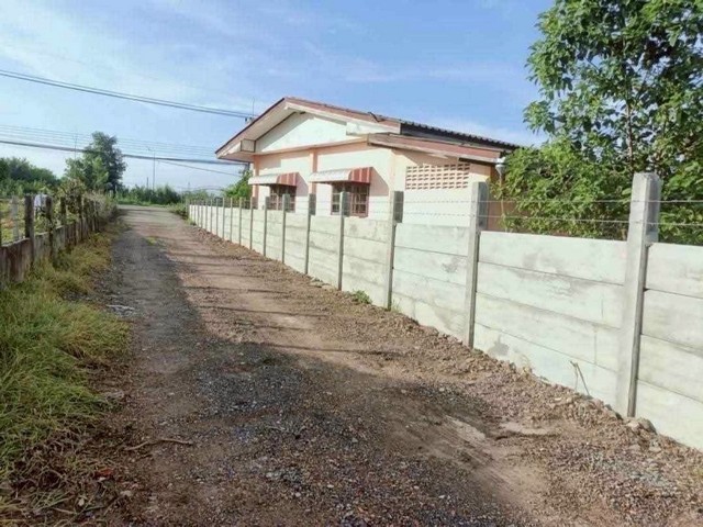 ประกาศฟรี! ซื้อ-ขาย-เช่า คอนโด บ้าน ทาวน์โฮม ที่ดิน และพื้นที่เชิงพาณิชย์ทั่วประเทศไทย ทุกทำเล ทุกงบประมาณ ไม่มีค่าใช้จ่าย ลงง่าย ขายไว เข้าถึงผู้ซื้อโดยตรง 2 293784pic1.jpg