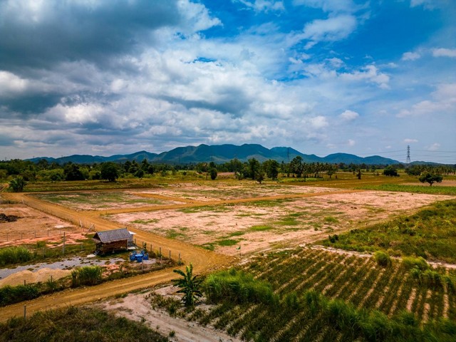 ประกาศฟรี! ซื้อ-ขาย-เช่า คอนโด บ้าน ทาวน์โฮม ที่ดิน และพื้นที่เชิงพาณิชย์ทั่วประเทศไทย ทุกทำเล ทุกงบประมาณ ไม่มีค่าใช้จ่าย ลงง่าย ขายไว เข้าถึงผู้ซื้อโดยตรง 2 293346pic1.jpg